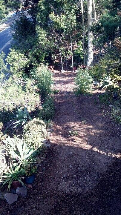 Rainbow Guest House Fallbrook Extérieur photo