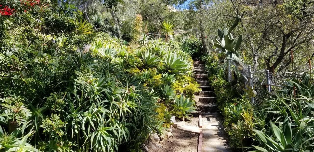 Rainbow Guest House Fallbrook Extérieur photo